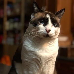 Meet your Posher, Kathryn